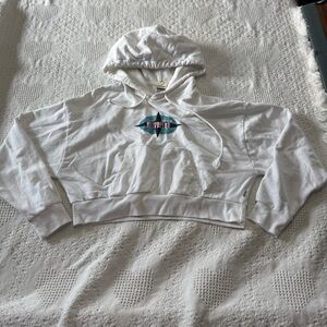 Y2K Levi’s SilverTab Cropped Hoodie (M)